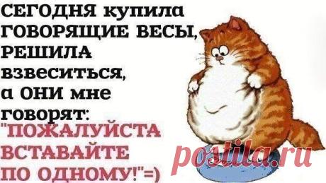 Мысли вслух