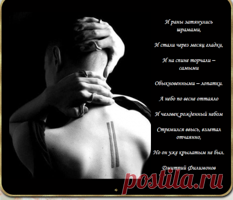 И раны затянулись шрамами...