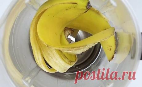 Всего 3 ингредиента, чтобы вернуть любимому растению жизнь.
Уехали в отпуск, забыли полить, не додали света своему любимому растению в горшочке, и вот горе — оно начало завядать. Не отчаивайтесь и уж точно не спешите с ним прощаться. Вам понадобятся: 1. Кожура банана 2. Молотый кофе 3. Яичная скорлупа Добавьте немного воды и взбейте все в блендере Полученную смесь выложите в горшок с растением Через некоторое время ваш зеленый друг снова жив и здоров
Читай дальше на сайте. Жми подробнее ➡