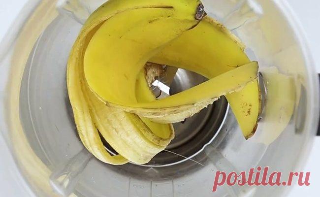 Всего 3 ингредиента, чтобы вернуть любимому растению жизнь.
Уехали в отпуск, забыли полить, не додали света своему любимому растению в горшочке, и вот горе — оно начало завядать. Не отчаивайтесь и уж точно не спешите с ним прощаться. Вам понадобятся: 1. Кожура банана 2. Молотый кофе 3. Яичная скорлупа Добавьте немного воды и взбейте все в блендере Полученную смесь выложите в горшок с растением Через некоторое время ваш зеленый друг снова жив и здоров
Читай дальше на сайте. Жми подробнее ➡