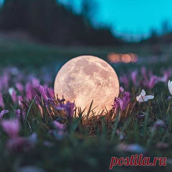 13 Мая 2018 г. – Воскресенье • Международный день матери (Mother`s Day)108 лет • Всероссийский день посадки леса7 лет • День московских парков12 лет • Праздник одуванчиков • День Черноморского флота РФ235 лет • День рождения застежки-липучки60 лет • День охранно-конвойных подразделений МВД РФ80 лет • День грозового гонга • День памяти святителя Игнатия Брянчанинова • Международный день Хумуса (International Hummus Day) • День Государственного флага и герба - Беларусь • Фестиваль котов -…