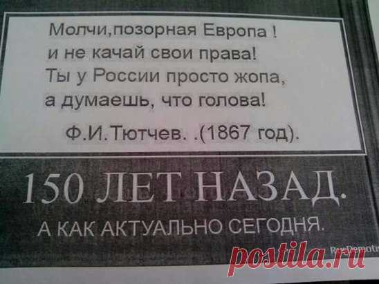 (5) Одноклассники
