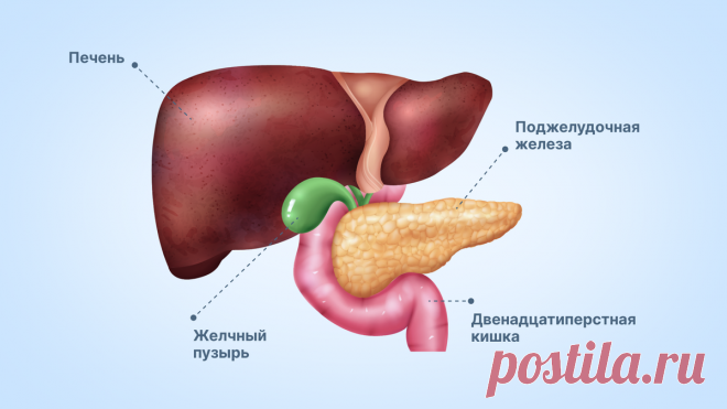 Поднимаю руки (каждое утро) - отеки уходят, а печень очищается: всего за 1,5 минуты | Стань краше с Орловой Дашей | Дзен