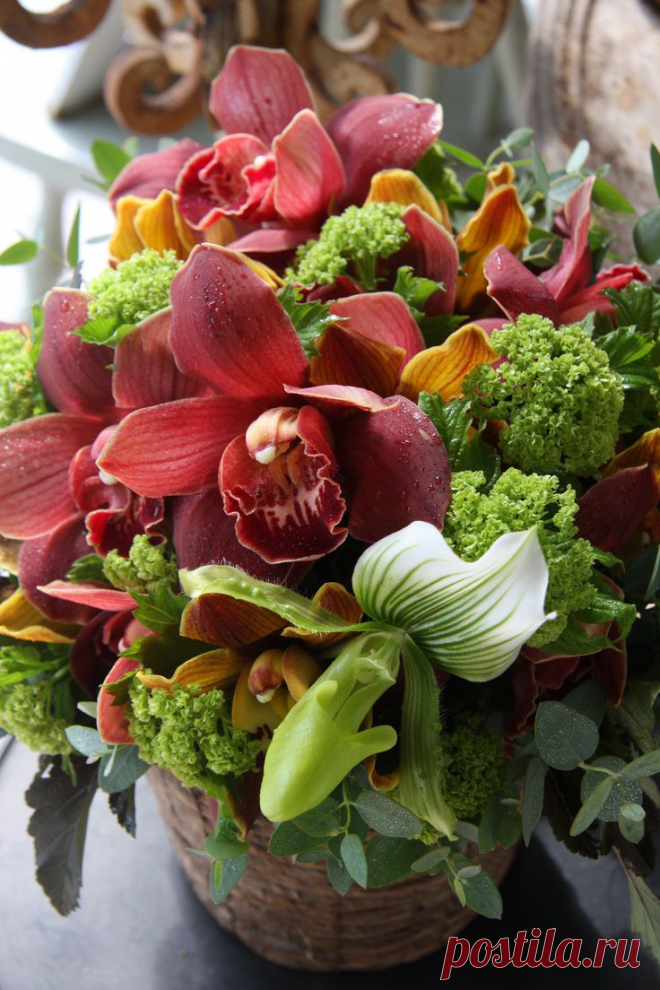 Найдено на сайте fleurs-tremolo.com.