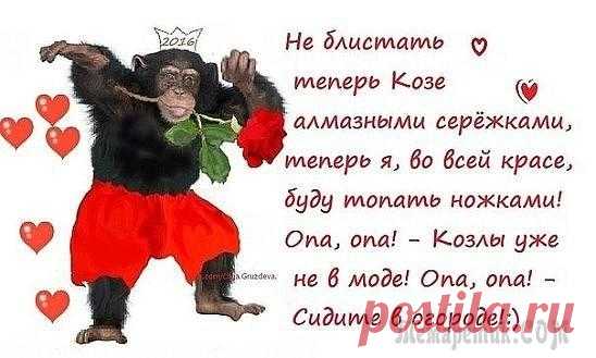 Новогодний салат Обезьянка - символ 2016 года Простые рецепты Ovkuse.ru
