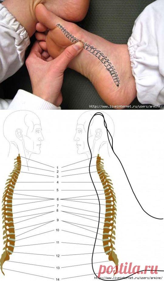 УНИКАЛЬНЫЙ МАССАЖ СТОПЫ СНИМАЕТ ВСЕ БОЛИ В СПИНЕ !!!