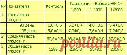 Овощные культуры и ЭМ-Технология - Арго