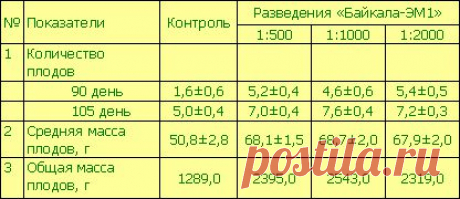 Овощные культуры и ЭМ-Технология - Арго