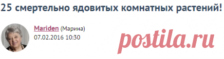25 смертельно ядовитых комнатных растений! / Болталка / Разговоры на любые темы