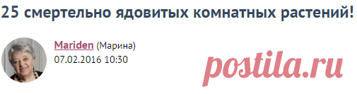 25 смертельно ядовитых комнатных растений! / Болталка / Разговоры на любые темы