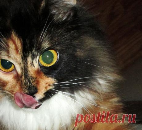 Очень вкусная курочка, или не курочка, или колбаска, или не колбаска, но то, что удалось слопать-вкуснооо!