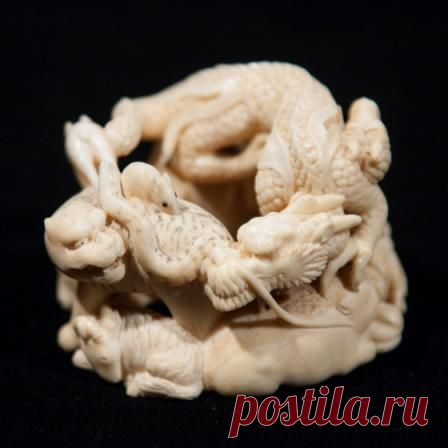 зодиакальные животные