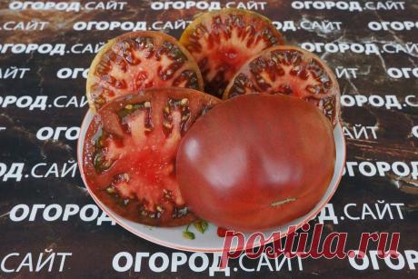 Томат Гордость Пирса, семена | ОГОРОД.сайт