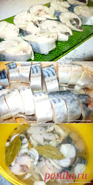 Скумбрия маринованная быстрая (горячий засол).