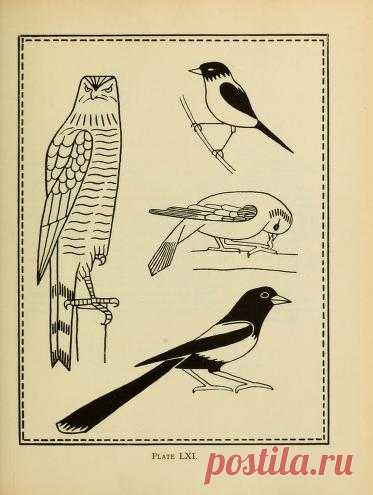 An embroidery pattern book : Waring, Mary E : Free Download, Borrow, and Streaming : Internet Archive