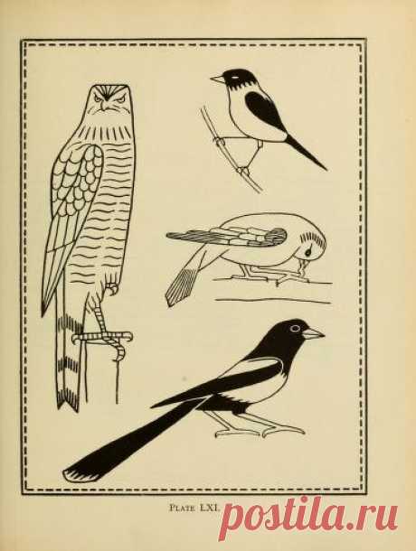 An embroidery pattern book : Waring, Mary E : Free Download, Borrow, and Streaming : Internet Archive