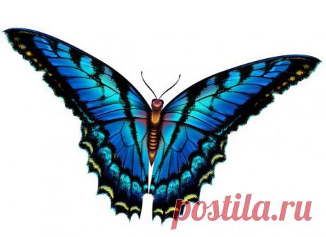 Картинки для творчества | 1 772 фотографии | ВКонтакте