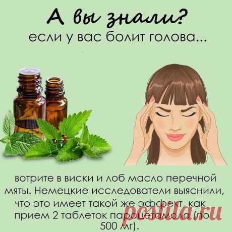 ЖИВИ