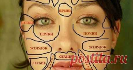Ваше здоровье на китайской «карте лица» Китайцы считают, что все части лица напрямую связаны с конкретными внутренними органами. 
Кожа – самый большой по площади орган нашего организма. На нем могут проявляться многочисленные внутренние про…