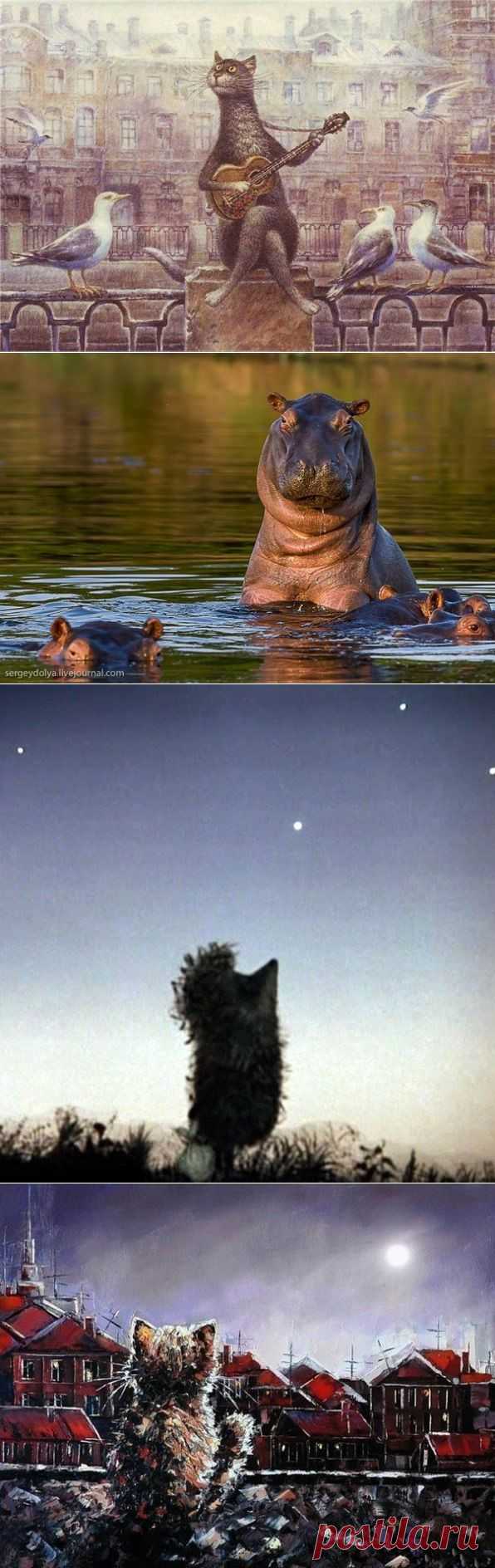 INTERWORLD | Академия мудрости