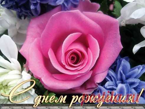 (67) Одноклассники