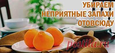 Убираем неприятные запахи отовсюду