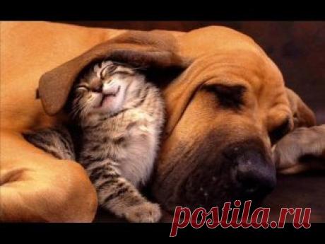 (1) Facebook