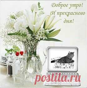 Мой Мир@Mail.Ru