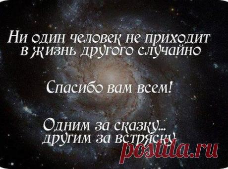 Мария Кифоренко