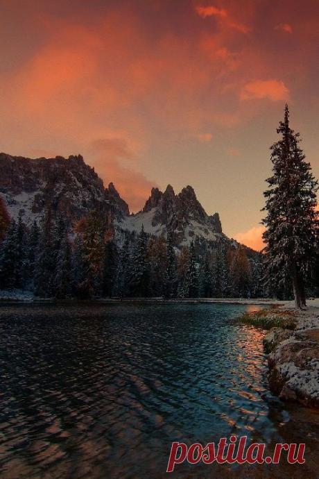 Найдено на сайте wildlifearth.tumblr.com.