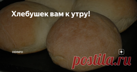 Хлебушек вам к утру! Из-за вчерашних ремонтных работ на дороге в магазин так и не завезли хлеб. А тут еще дети  нагрянули с корпоратива... Пришлось ночью взять 2 стакана теплой  кипяченой воды, 50 г дрожжей, 2 столовые ложки сахара, 2 столовые ложки  растительного масла, чайную соли и муки столько, чтобы замесить некрутой  кругляшок. Его, мягонький, оправила на 45 мин. в холодильник, пока  бродила по дому сонной мухой