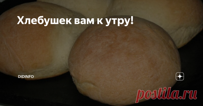 Хлебушек вам к утру! Из-за вчерашних ремонтных работ на дороге в магазин так и не завезли хлеб. А тут еще дети  нагрянули с корпоратива... Пришлось ночью взять 2 стакана теплой  кипяченой воды, 50 г дрожжей, 2 столовые ложки сахара, 2 столовые ложки  растительного масла, чайную соли и муки столько, чтобы замесить некрутой  кругляшок. Его, мягонький, оправила на 45 мин. в холодильник, пока  бродила по дому сонной мухой