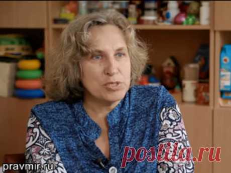 «Групп смерти не существует» - Росбалт