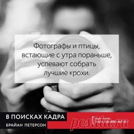 В поисках кадра: 5 советов, как делать красивые фотографии | Блог издательства «Манн, Иванов и Фербер»