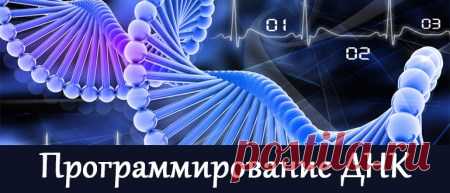 Программирование ДНК. Скрытые резервы организма. Настрой на самоисцеление — Практическая эзотерика