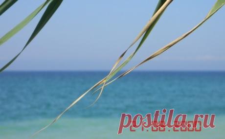 Как на фотографии поставить дату 👍 Возможности цифровой фотографии практически безграничны.