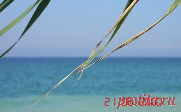 Как на фотографии поставить дату 👍 Возможности цифровой фотографии практически безграничны.