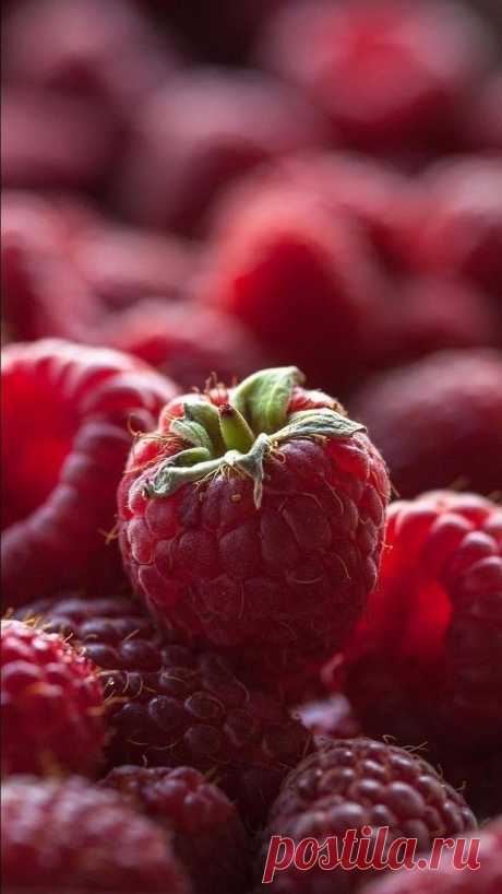 ✽Delightful✾ (via Pinterest)