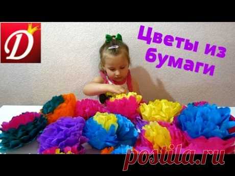 Объемные цветы из гофрированной бумаги  Bulk flowers from crepe paper