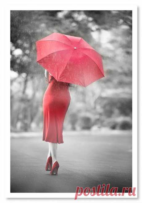 Найдено на сайте flickr.com.