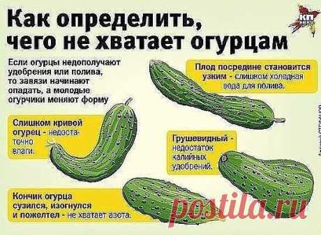 Полезная памятка  На заметку