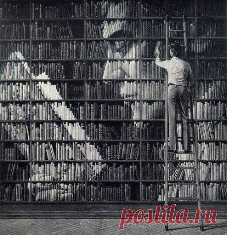 Портрет из книг