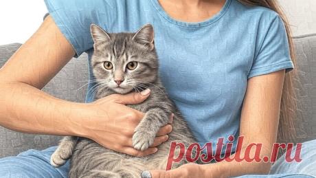 Странная история - OGADANIE.RU