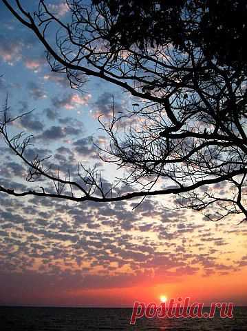 Рассветы, закаты...