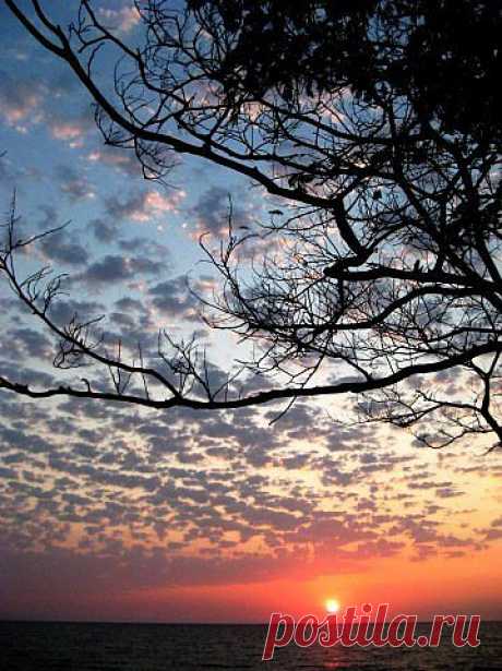 Рассветы, закаты...