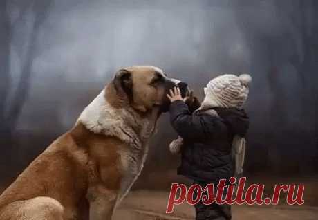 (22) Одноклассники