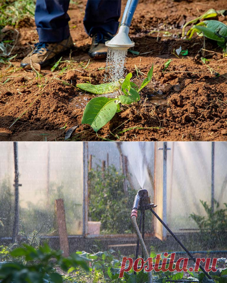 Автоматический полив в теплице своими руками!