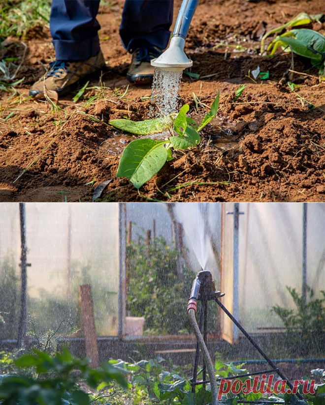 Автоматический полив в теплице своими руками!