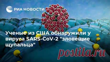 Ученые из США обнаружили у вируса SARS-CoV-2 "зловещие щупальца" Ученые из Калифорнийского университета в США выяснили, что вирус SARS-CoV-2, вызывающий заболевание COVID-19, использует для заражения отростки, похожие на... РИА Новости, 28.06.2020