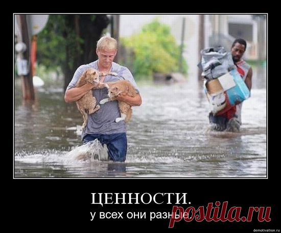 Доброта - это классика, люди... (Ирина Самарина-Лабиринт) / Стихи.ру